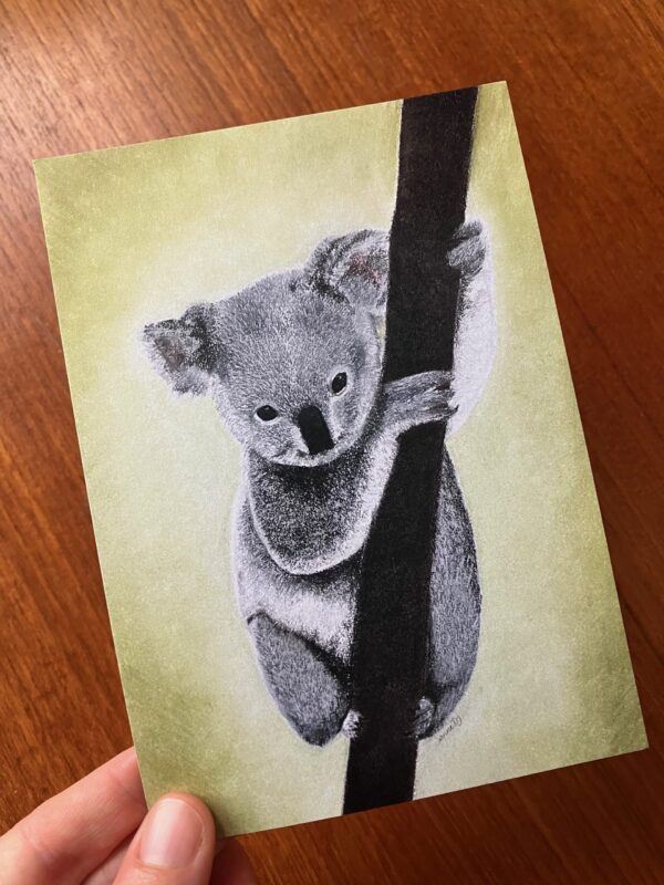 Koalaen - Billede 2