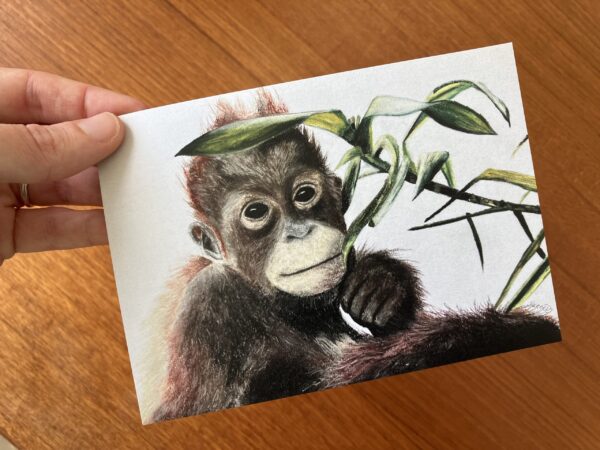 Orangutangen - Billede 2