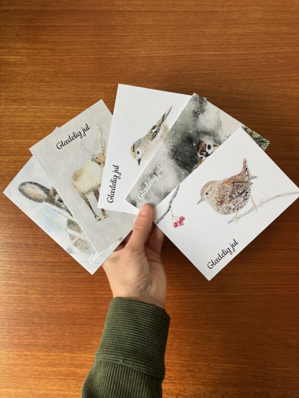 Gærdesmutten - Image 3