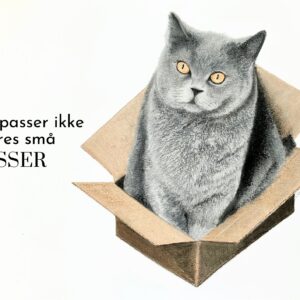 Katten i kassen
