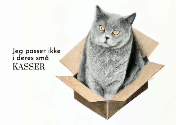 Katten i kassen