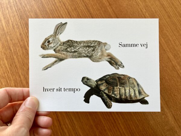 Haren & skildpadden - Billede 2