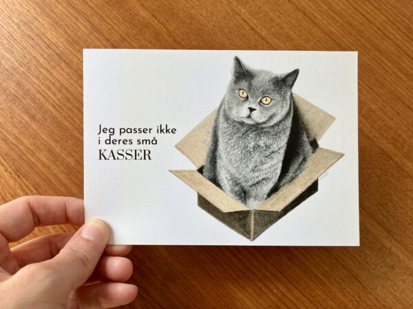 Katten i kassen - Billede 2
