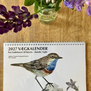 2027 Vægkalender Fra Vadehavet til haven - danske fugle