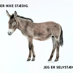Det selvstændige æsel