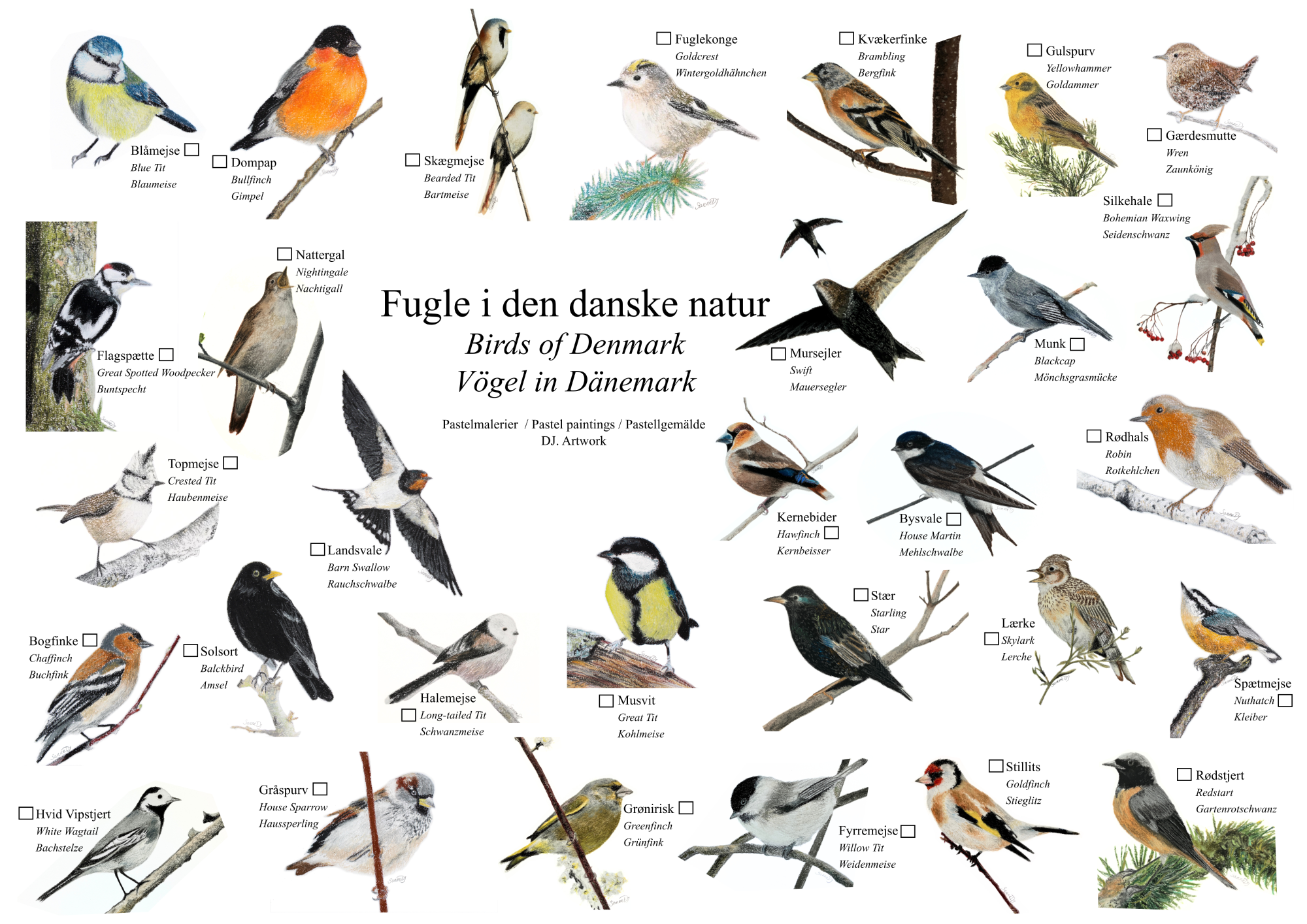 Fugleplakaten (International)